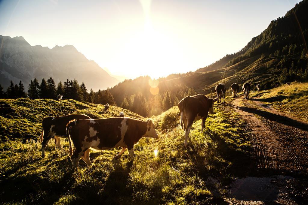 Ansitz Wirtsgut - Familienappartements In Den Bergen Leogang Exteriér fotografie